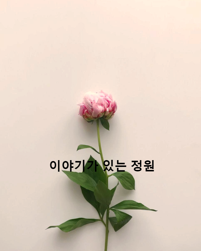 ✓짧은 시 모음, 꽃(좋은 시, 좋은 글, 좋은 한시, 이규보, 꽃이 예쁜가요, 제가 예쁜가요, 절화행, 최영미, 선운사에서, 나태주,  해거름 녘, 서른 잔치는 끝났다, 시 감상)