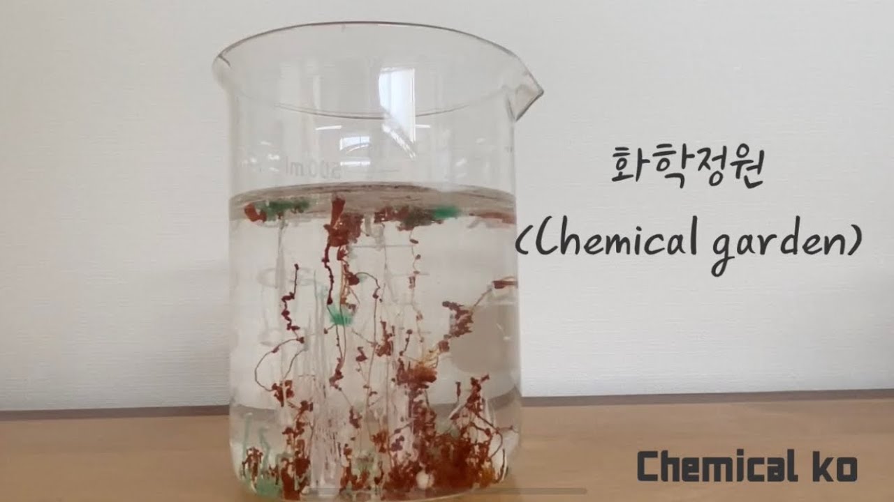 Chemical Garden/Sodium Silicate And Metal Salt - Youtube