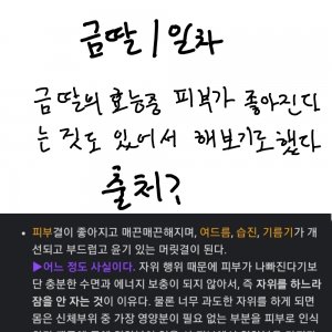 금딸 1일차.Manhwa - 카툰-연재 갤러리