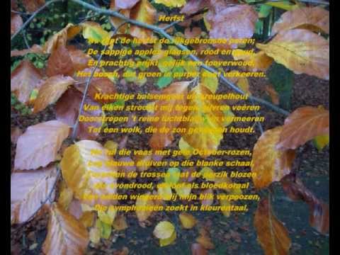 Herfstgedicht - Hélène Swarth (1859-1941) -- 'Herfst'