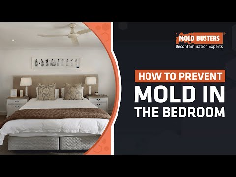 How To Prevent Mold in The Bedroom - Mold Busters