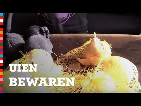 Spannende en écht werkende tip om uien te bewaren! | Voedingscentrum