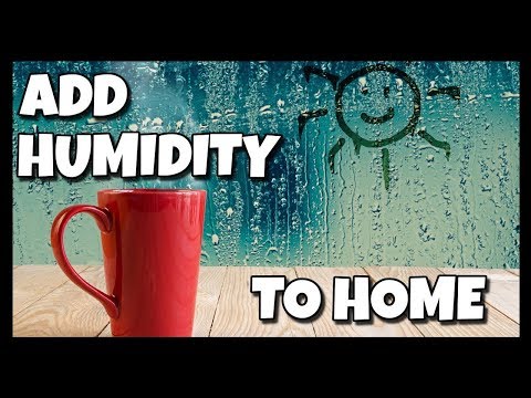 How To Add Humidity To Your Home 📍 How To With Kristin