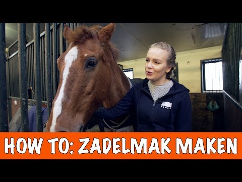 PAARD ZADELMAK MAKEN 1/2  | PaardenpraatTV