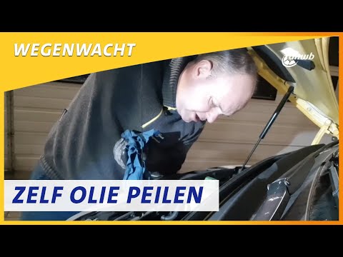 Zelf je oliepeil controleren | Wegenwacht vlog #85