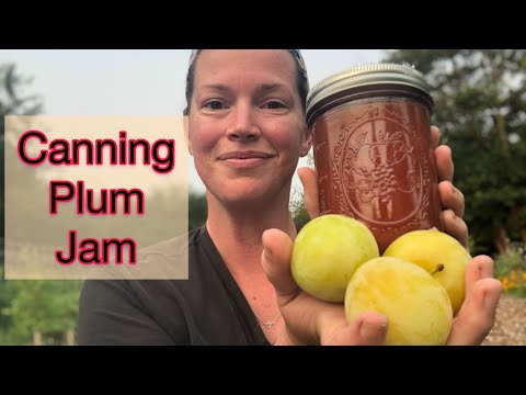 Making and Canning Golden Plum Jam | Little Roots Ranch with Christi