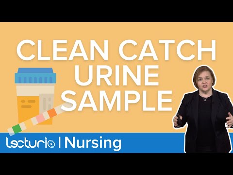 How to Collect A Clean Catch Urine Sample | Lecturio Nursing