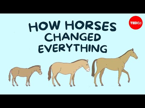 Epic battles, burials, and races: How horses changed everything - William T. Taylor