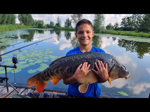 Een mooie Spiegelkarper 18 kilo  vissen in het Groene Hart Nederland.