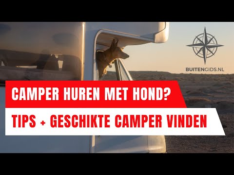 Camper Huren Met Hond? Tips + Geschikte Camper Vinden