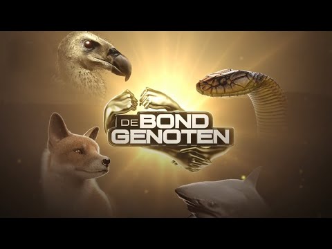 De Bondgenoten | SBS6 | Leader seizoen 1 | Najaar 2023