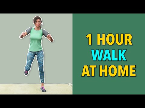 Walk 1 Hour a Day – Walk at Home Every Day