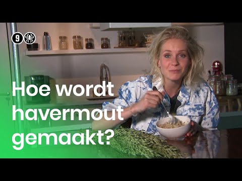 Hoe wordt havermout gemaakt? | Doen Ze Dat Zo?