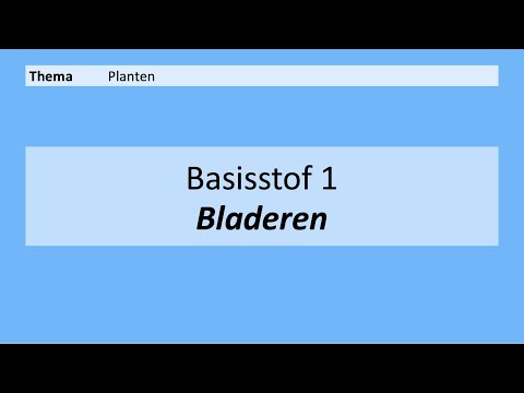 VMBO 4 | Planten | Basisstof 1. Bladeren | 8e editie