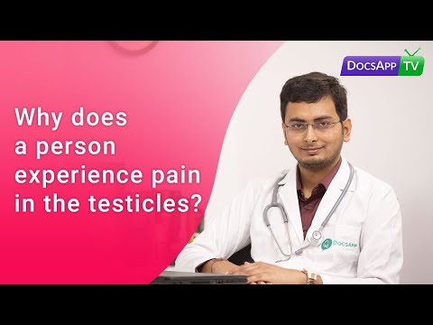 Why does a person Experience Pain in the Testicles? #AsktheDoctor