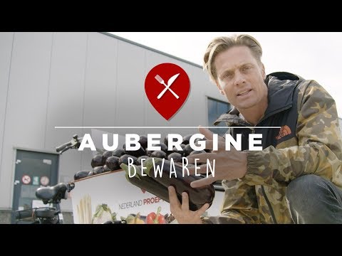 Aubergine bewaren