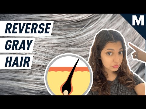 How to Reverse Gray Hair, According to Scientists | Mashable