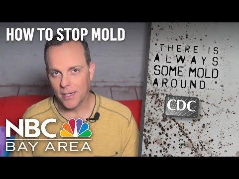 How to Stop Mold