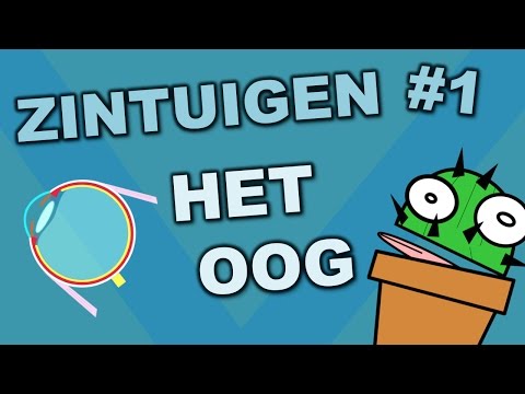 Onderdelen van het oog - Zintuigen #1 - Cactuss Biologie