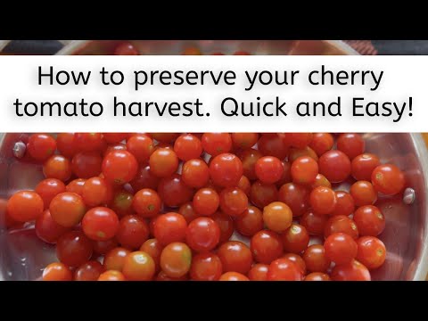 How to preserve cherry tomatoes QUICK AND EASY RECIPE!