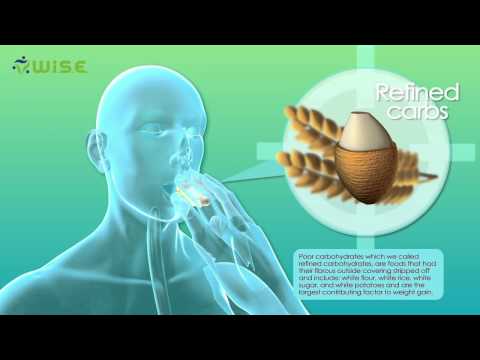 3D medical animation - Why people get fat - Warum Menschen Gewicht zunehmen - designidentity