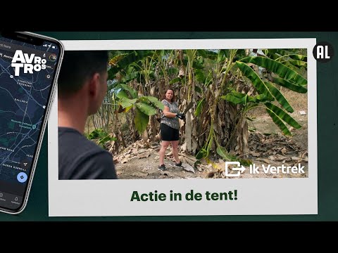 Een echte Costa Ricaan 🍌 | Ik Vertrek | Kevin en Marianne - Costa Rica