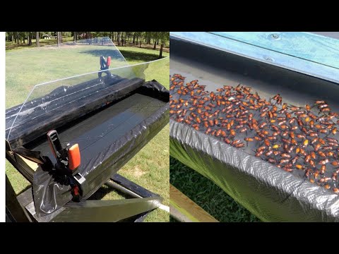 Horse Fly Trap / How Does It Work