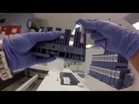 Behind the scenes: What happens to a blood sample?