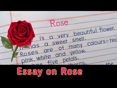 Essay on rose || essay on rose in english ||Few lines on Rose ||