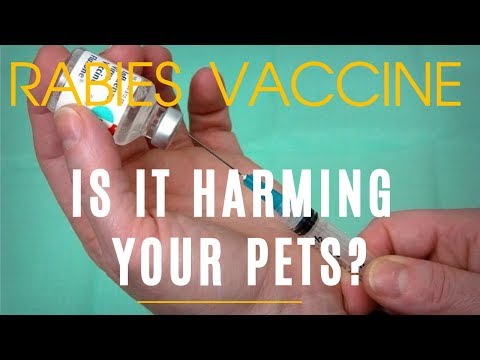 Is Rabies Vaccine Harming Your Pets?