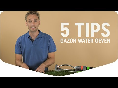 5 tips voor het sproeien van je gazon