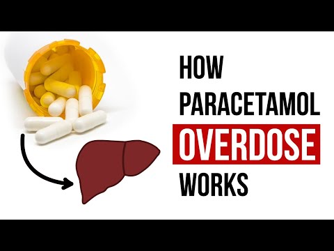 How Paracetamol Overdose Works